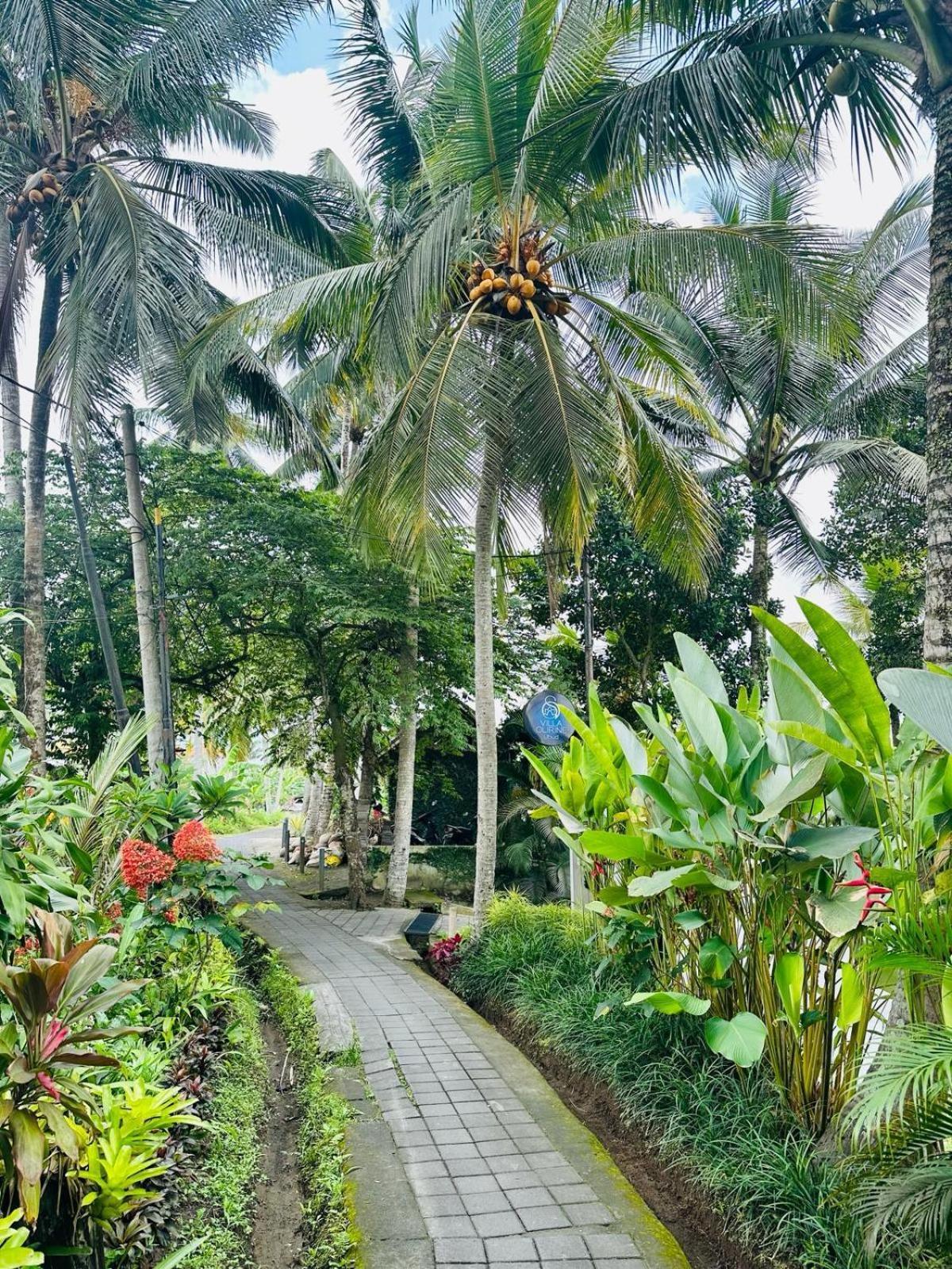 Villa Olirine By Balisuperhost Ubud  Exterior photo